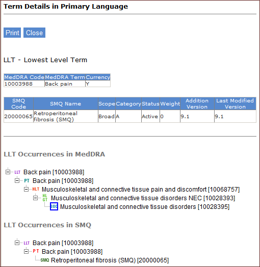 Term Details in Primary Language
